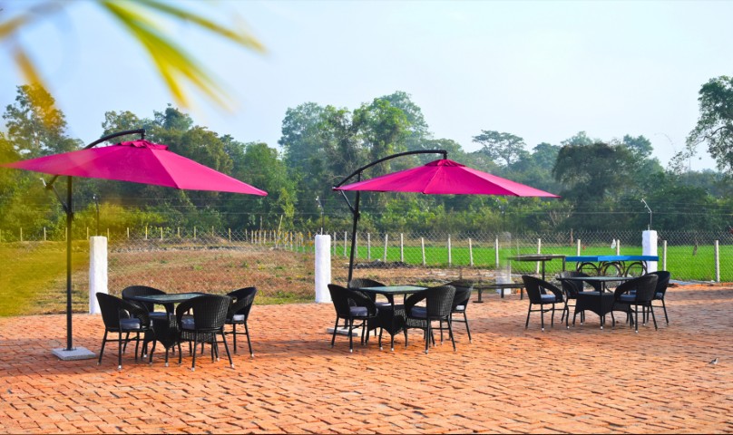 Food of Jungle Leelaa Image