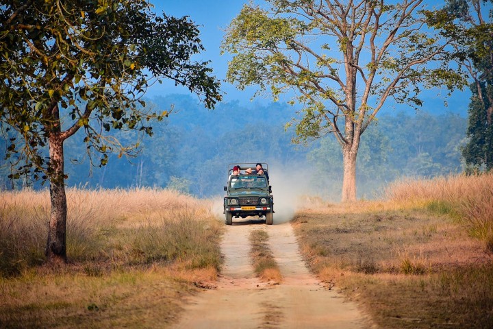 Katarniaghat Showcase Image