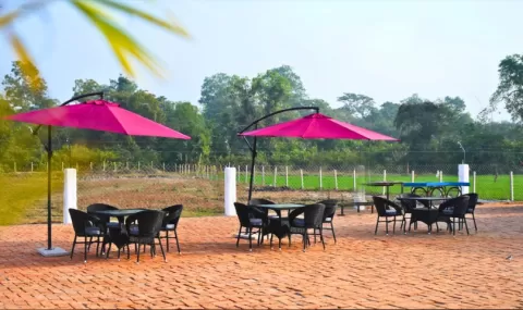 Food of Jungle Leelaa Image